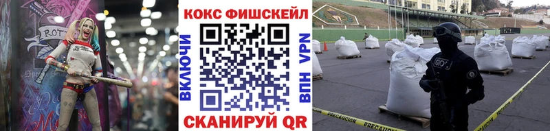 Купить закладки  Углегорск  Cocaine Fish Scale 