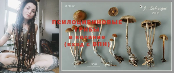 кокс Инта