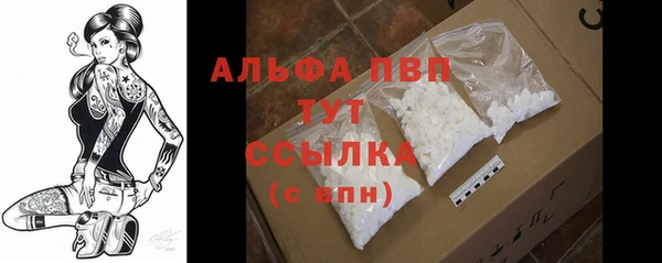кокс Инта
