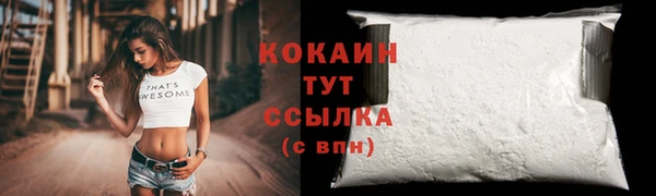 ALPHA PVP Инсар
