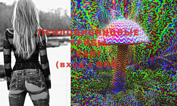 PSILOCYBIN Иннополис