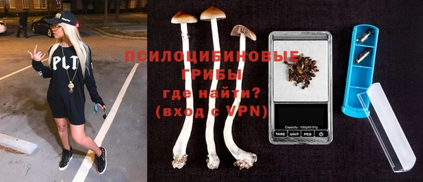 ALPHA PVP Инсар