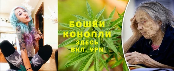 PSILOCYBIN Иннополис